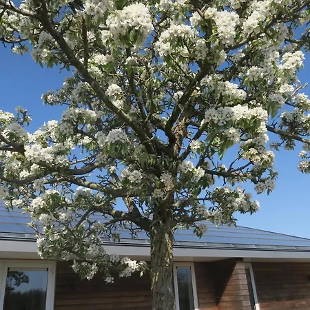 Aldörrum Hoevelogementen Lägenhet