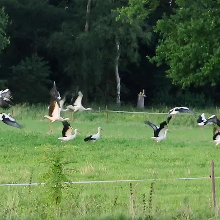 Aldoerrum Hoevelogementen アパート *