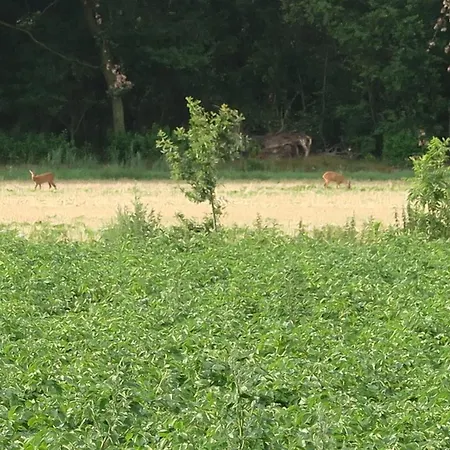 アパート Aldoerrum Hoevelogementen *