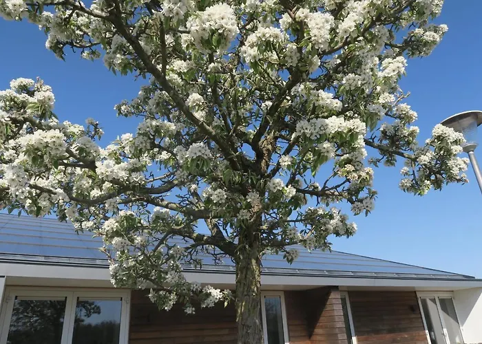 Aldoerrum Hoevelogementen Apartamento