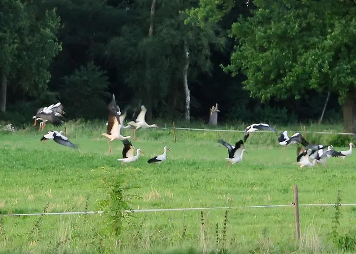 Aldoerrum Hoevelogementen Apartamento *