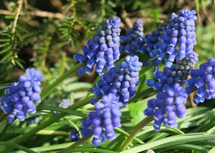 Aldoerrum Hoevelogementen 아파트 Aarle-Rixtel