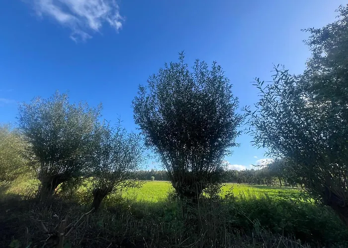 Aldoerrum Hoevelogementen * Aarle-Rixtel