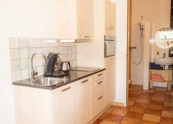 Aldoerrum Hoevelogementen Apartamento *