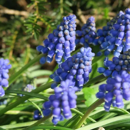 Aldoerrum Hoevelogementen شقة Aarle-Rixtel
