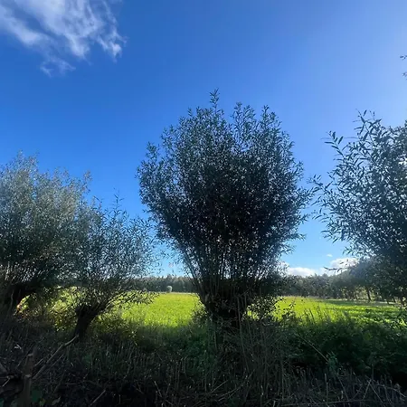 Aldoerrum Hoevelogementen * Aarle-Rixtel