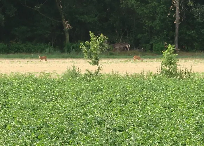 Apartment Aldoerrum Hoevelogementen *